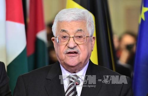 Palestinian President visits Egypt - ảnh 1